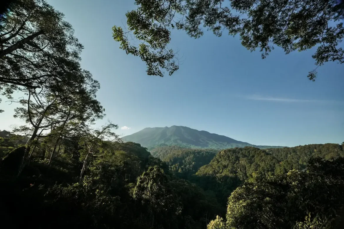 EIGER Nature Bogor sebagai destinasi ekowisata yang memadukan alam, petualangan dan konservasi