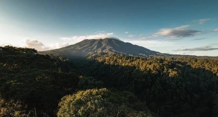 Lanskap hutan dan pegunungan di sekitar EIGER Nature
