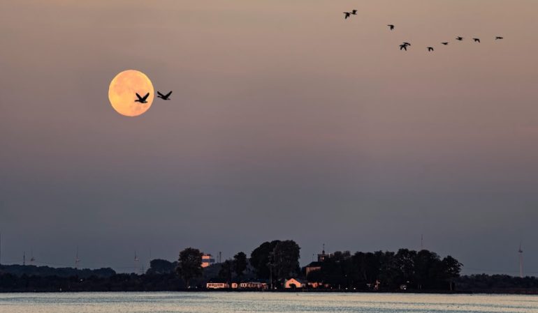 Bulan purnama Hunter’s Moon di langit Oktober 2026