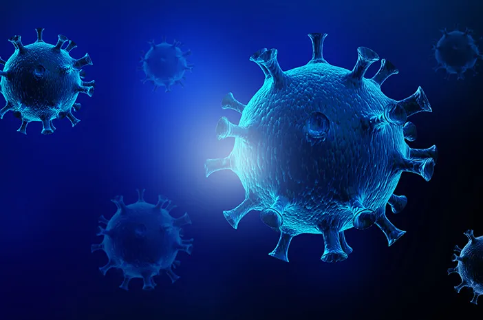 Sapi ternak sebagai salah satu hewan yang diketahui dapat terinfeksi virus Shamonda